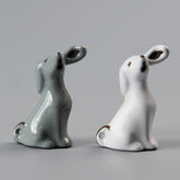 long-eared dog(Have been blessed)