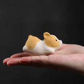 Little Corgi(Have been blessed)