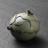 The spray water frog(Have been blessed)