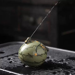 The spray water frog(Have been blessed)