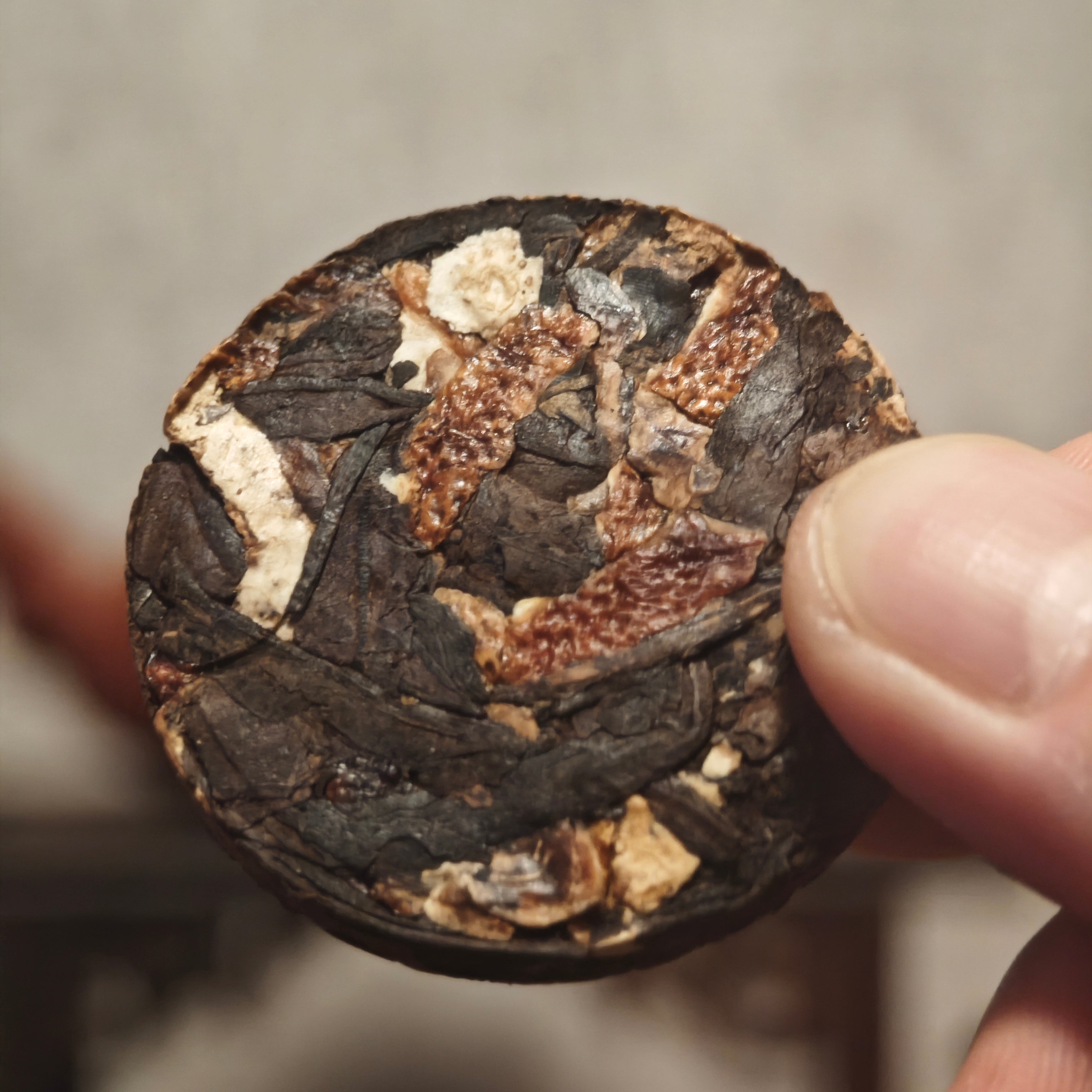 Aged Pu'er with Dried Tangerine