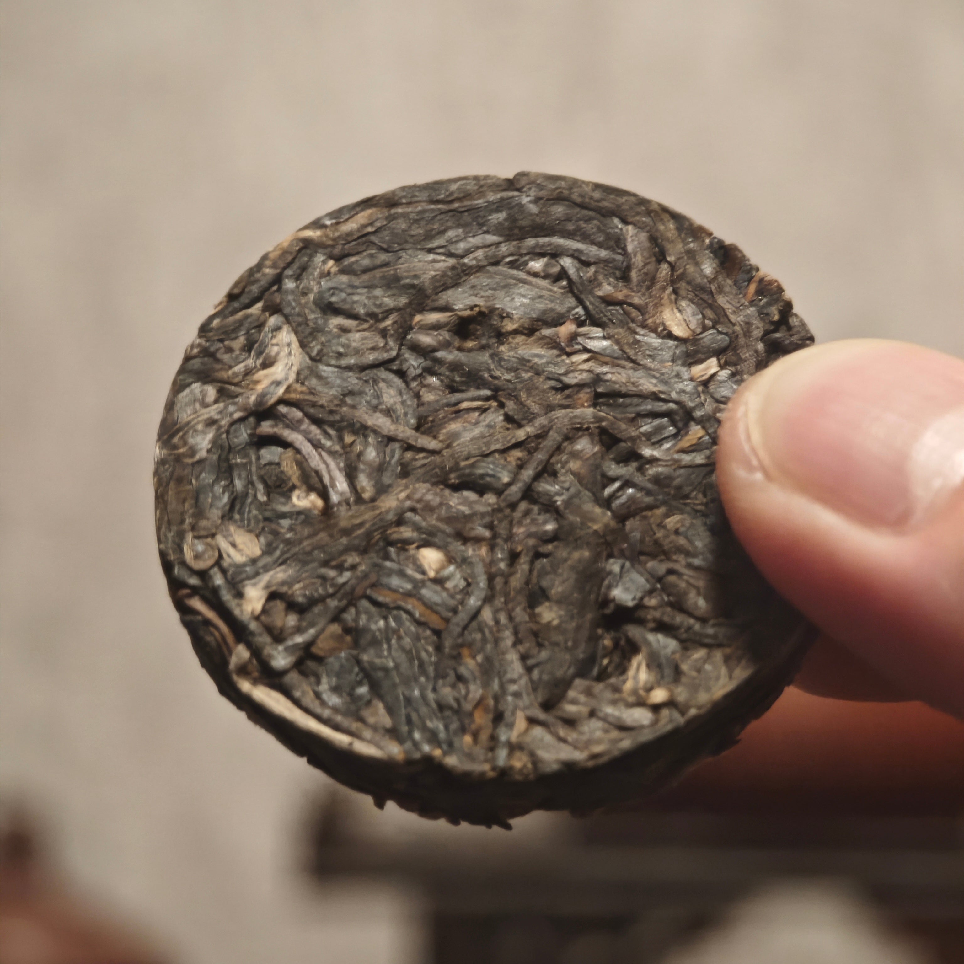 Jingmai Raw Pu'er Tea